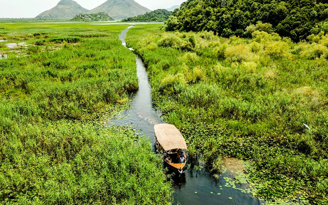 Wooden boat navigating through reeds on Lake Skadar, Montenegro.