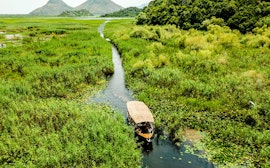 Lacul Skadar