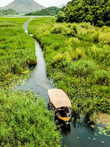 Wooden boat navigating through reeds on Lake Skadar, Montenegro.