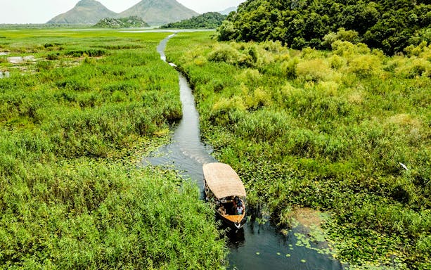 Wooden boat navigating through reeds on Lake Skadar, Montenegro.
