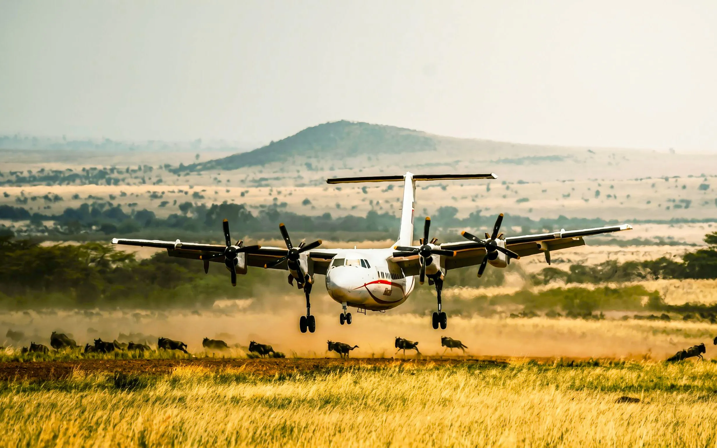 From Nairobi: Fly-In 5-Day Masai Mara and Amboseli Private Safari with Luxury Stays and Entry Fees
