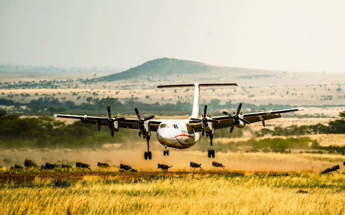 Plane landing on Maasai Mara airstrip with wildebeest in the foreground, Kenya safari.