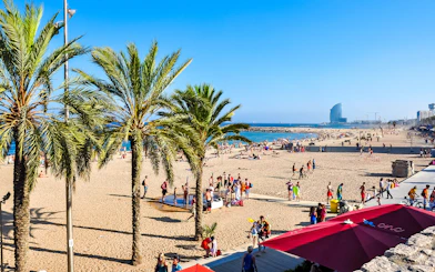 Tourists at Barceloneta Beach, Barcelona, with palm trees and sea view.