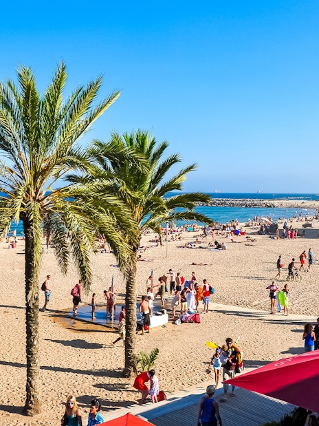 Tourists at Barceloneta Beach, Barcelona, with palm trees and sea view.