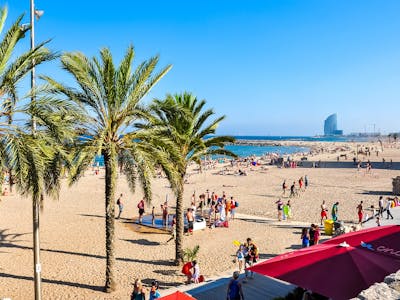 Gardens of Vatican City