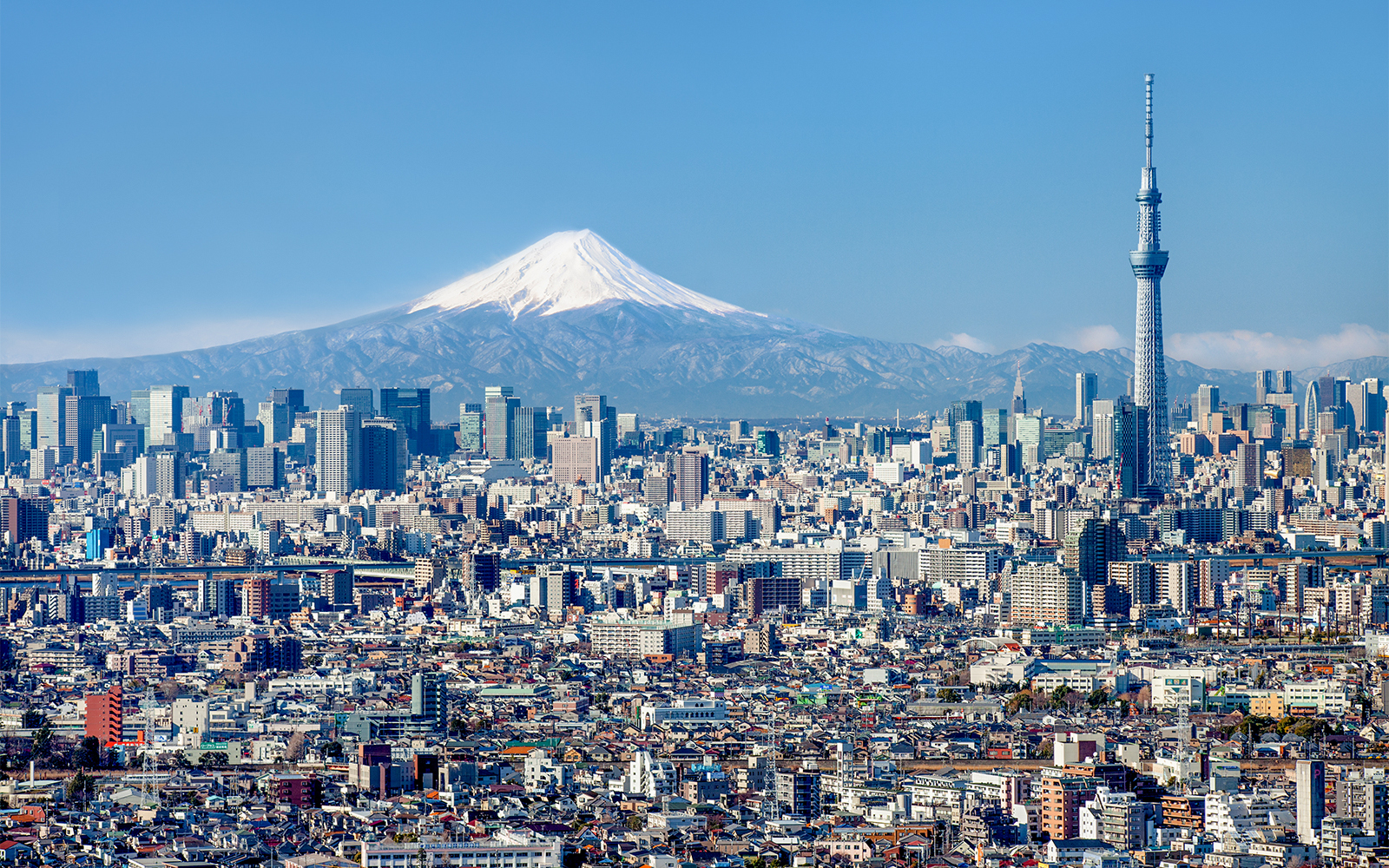 Tokyo Skytree with Mount Fuji in the background