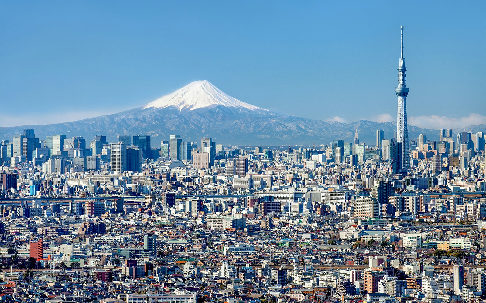 Tokyo Skytree with Mount Fuji in the background on a clear day.
