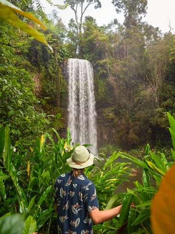 Person admiring Millaa Millaa Falls in Atherton Tableland, surrounded by lush greenery.