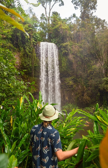 Person admiring Millaa Millaa Falls in Atherton Tableland, surrounded by lush greenery.
