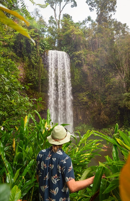 Person admiring Millaa Millaa Falls in Atherton Tableland, surrounded by lush greenery.