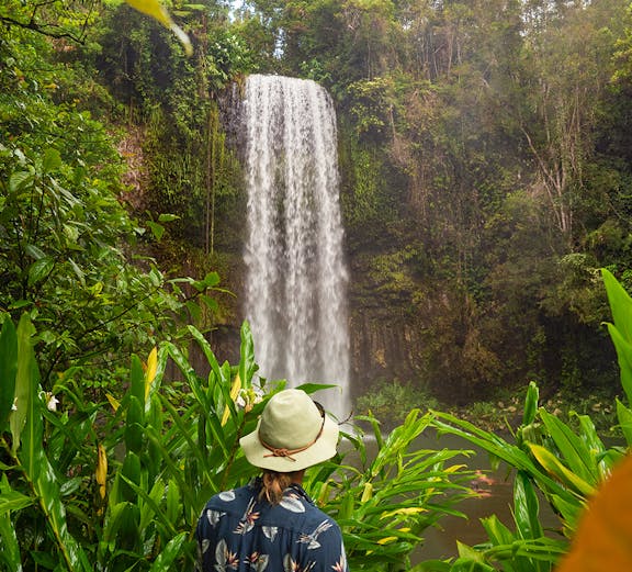 Person admiring Millaa Millaa Falls in Atherton Tableland, surrounded by lush greenery.