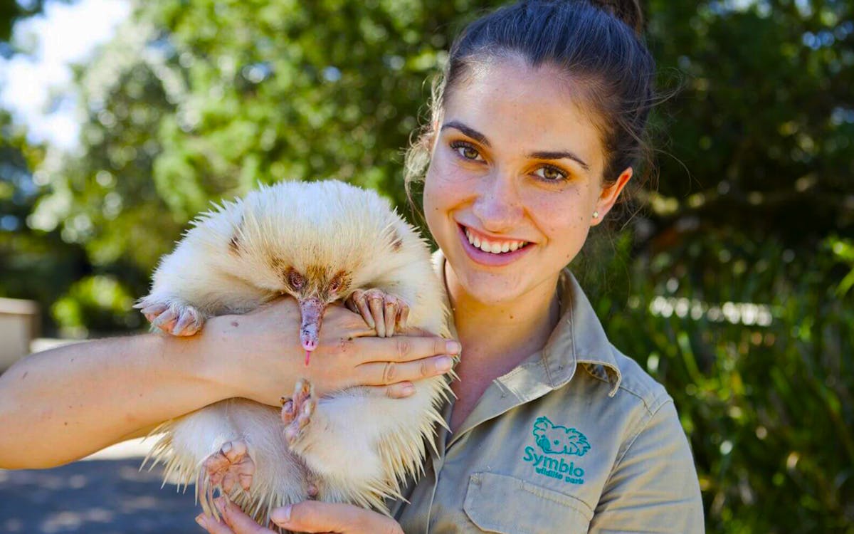 tickets to symbio wildlife park-6 tickets to symbio wildlife park-6