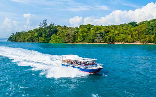 Tour boat cruising near lush island in Singapore.