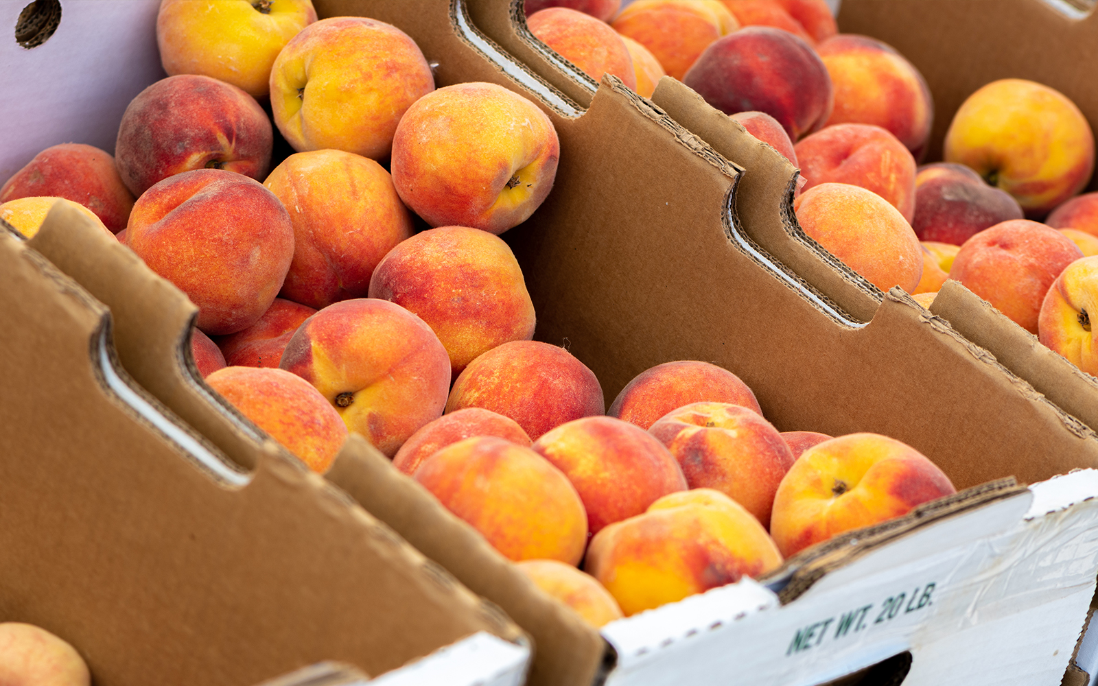 Niagara-on-the-Lake Peach Festival