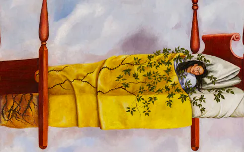 billets combo pour le musée frida kahlo et le musée anahuacalli-1