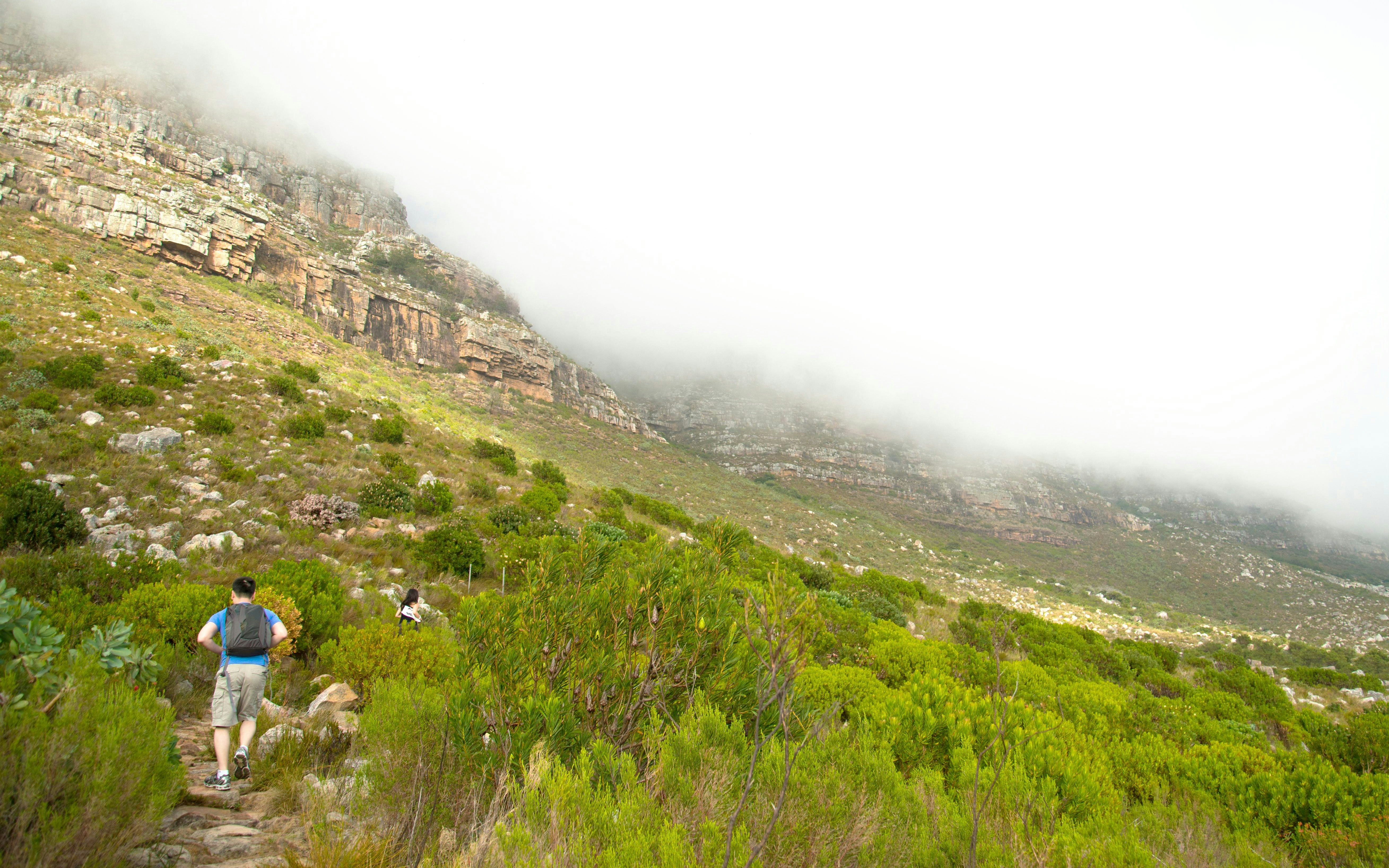 Hikers ascending Platteklip Gorge trail on Table Mountain, Cape Town.