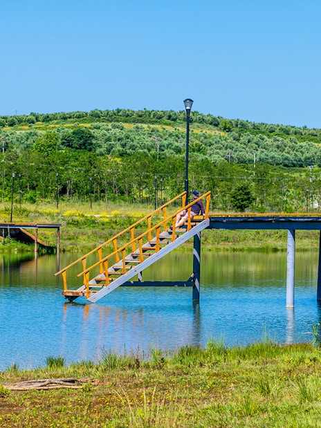 Staircase leading to a pier over the lake at Belsh lakes, surrounded by greenery.
