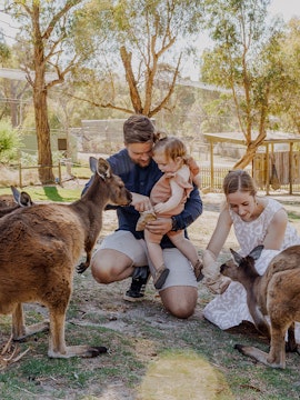 Family feeding kangaroos at Ballarat Wildlife Park, Melbourne.