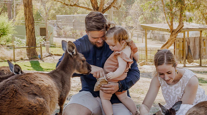 Family feeding kangaroos at Ballarat Wildlife Park, Melbourne.