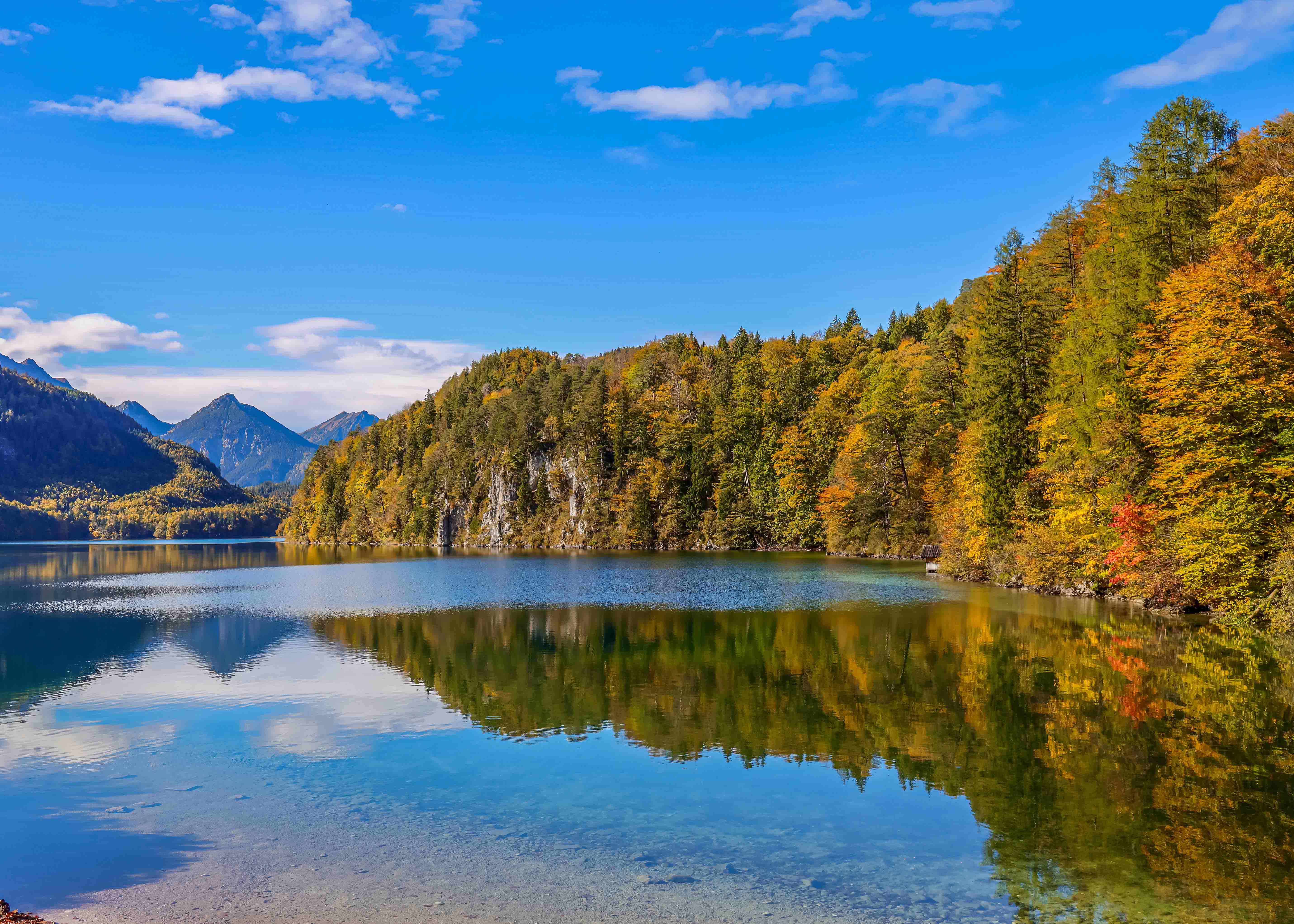 Alpsee Lake with autumn trees and mountain reflections in Bavaria, Germany.