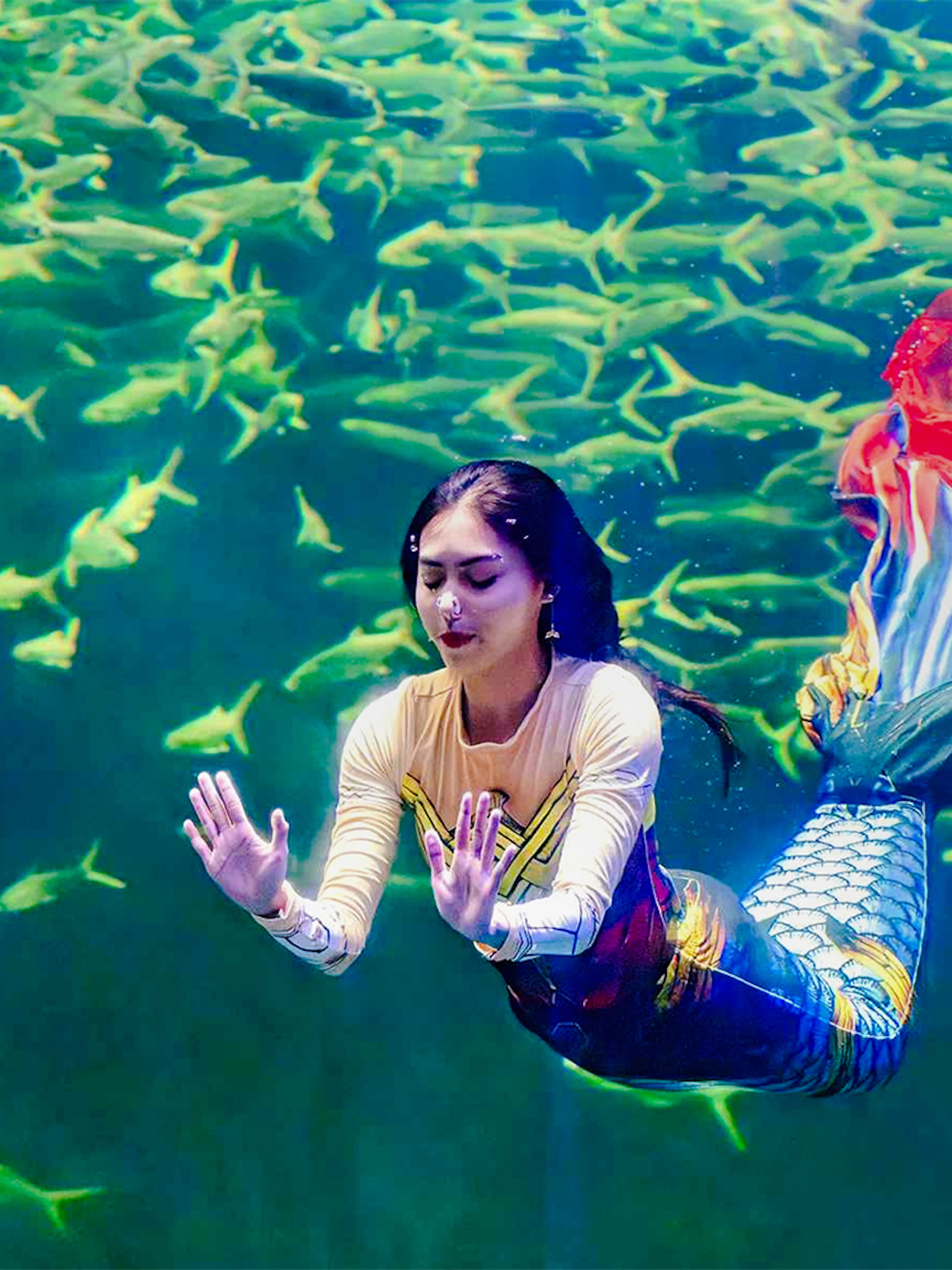 Mermaid performing underwater surrounded by fish.