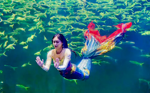 Mermaid performing underwater surrounded by fish.
