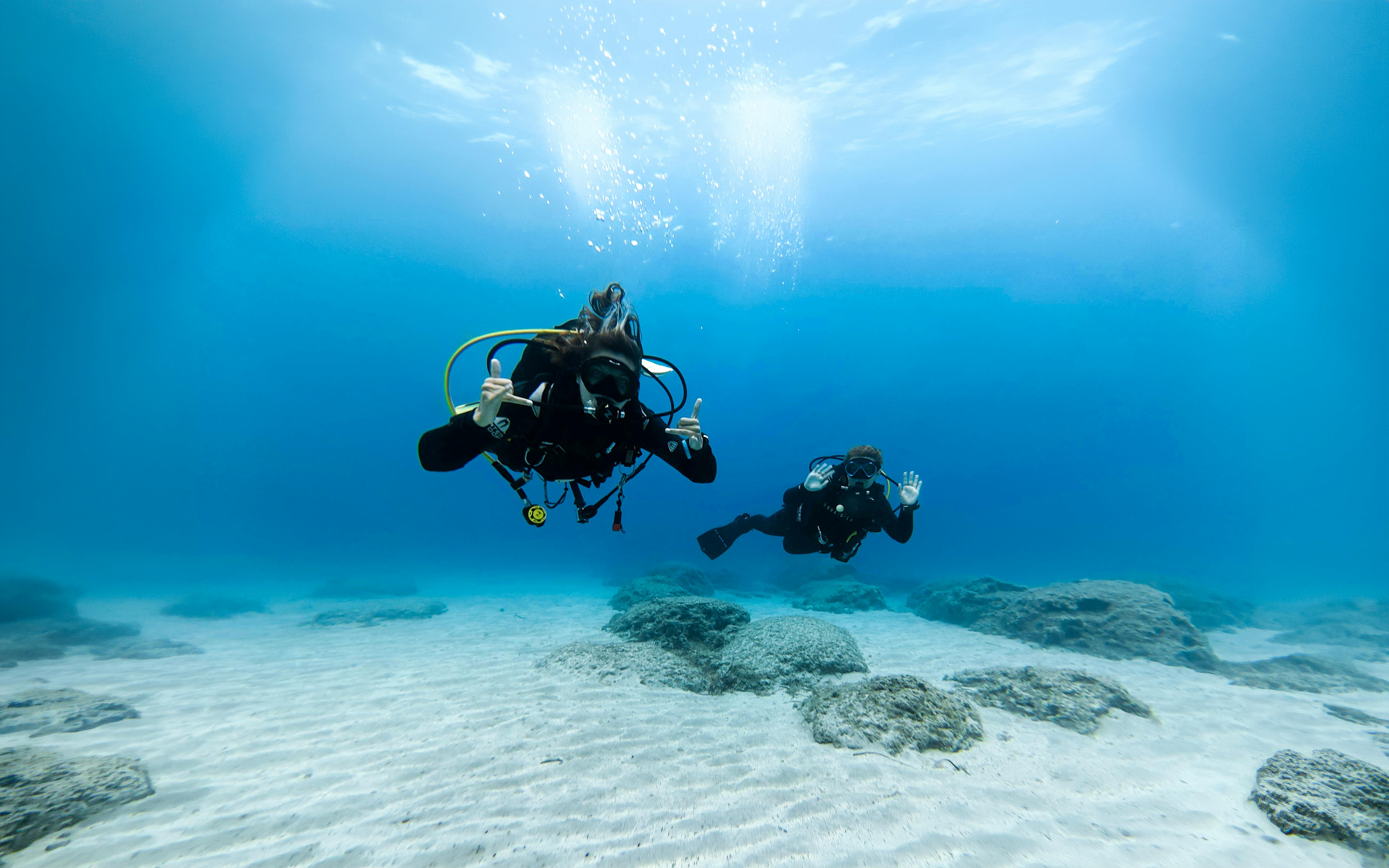 Divers exploring underwater in Green Bay during a private discovery dive.