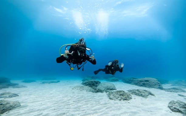 Divers exploring underwater in Green Bay during a private discovery dive.