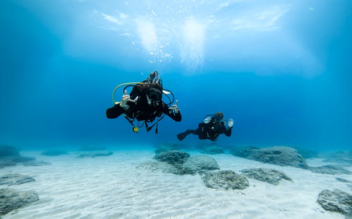 Divers exploring underwater in Green Bay during a private discovery dive.