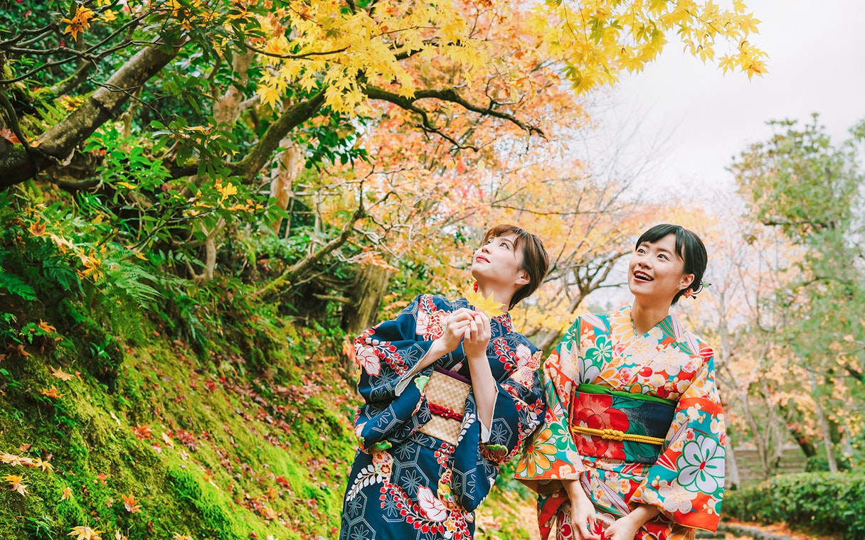 Friends in colorful kimonos enjoying autumn foliage in a Japanese garden.