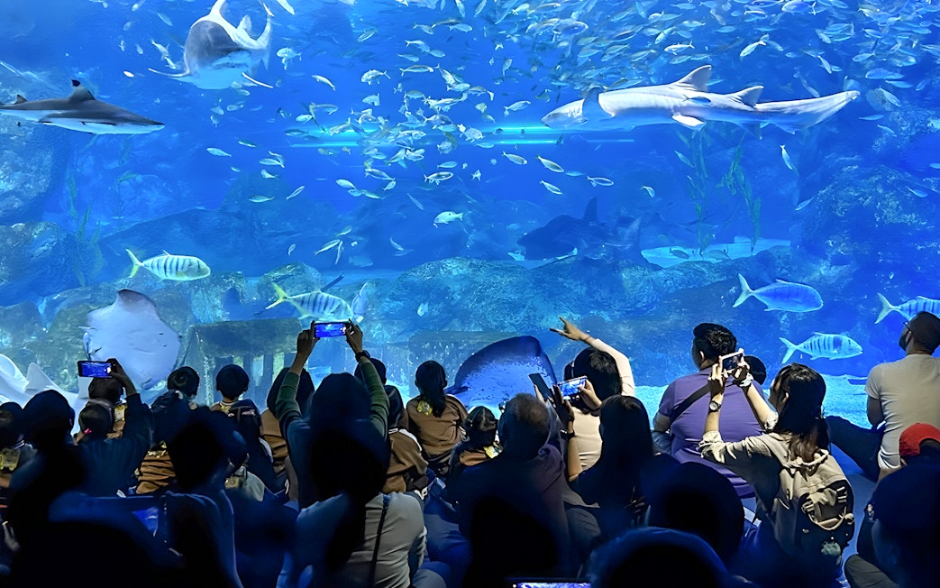Tourists viewing marine life at Coex Aquarium, Seoul, with sharks and fish swimming.