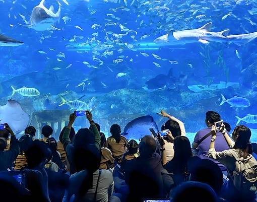 Feeding in the central tank
