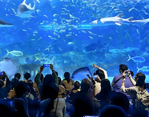 Feeding in the central tank