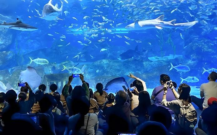 Tourists viewing marine life at Coex Aquarium, Seoul, with sharks and fish swimming.