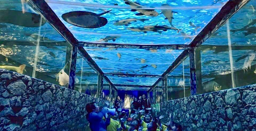 Akwarium dla potworów