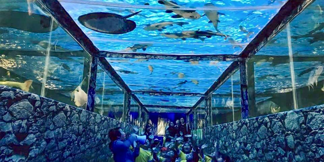 Monster Aquarium
