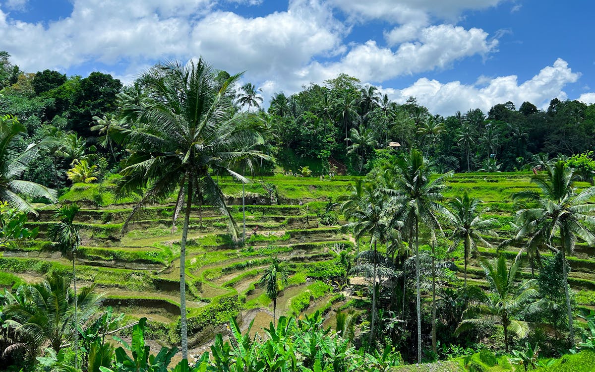 private tour of ubud-6 private tour of ubud-6