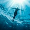 Swimming