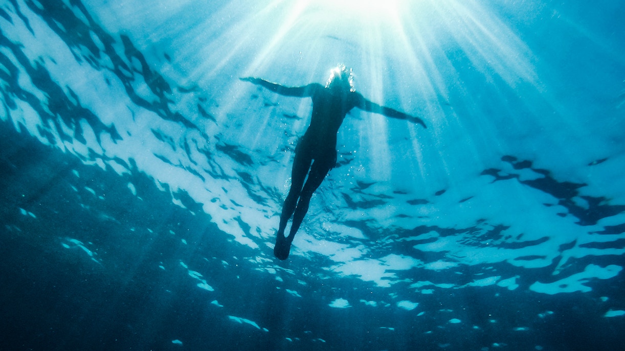 Safety - Phillip Island Nature Park tickets