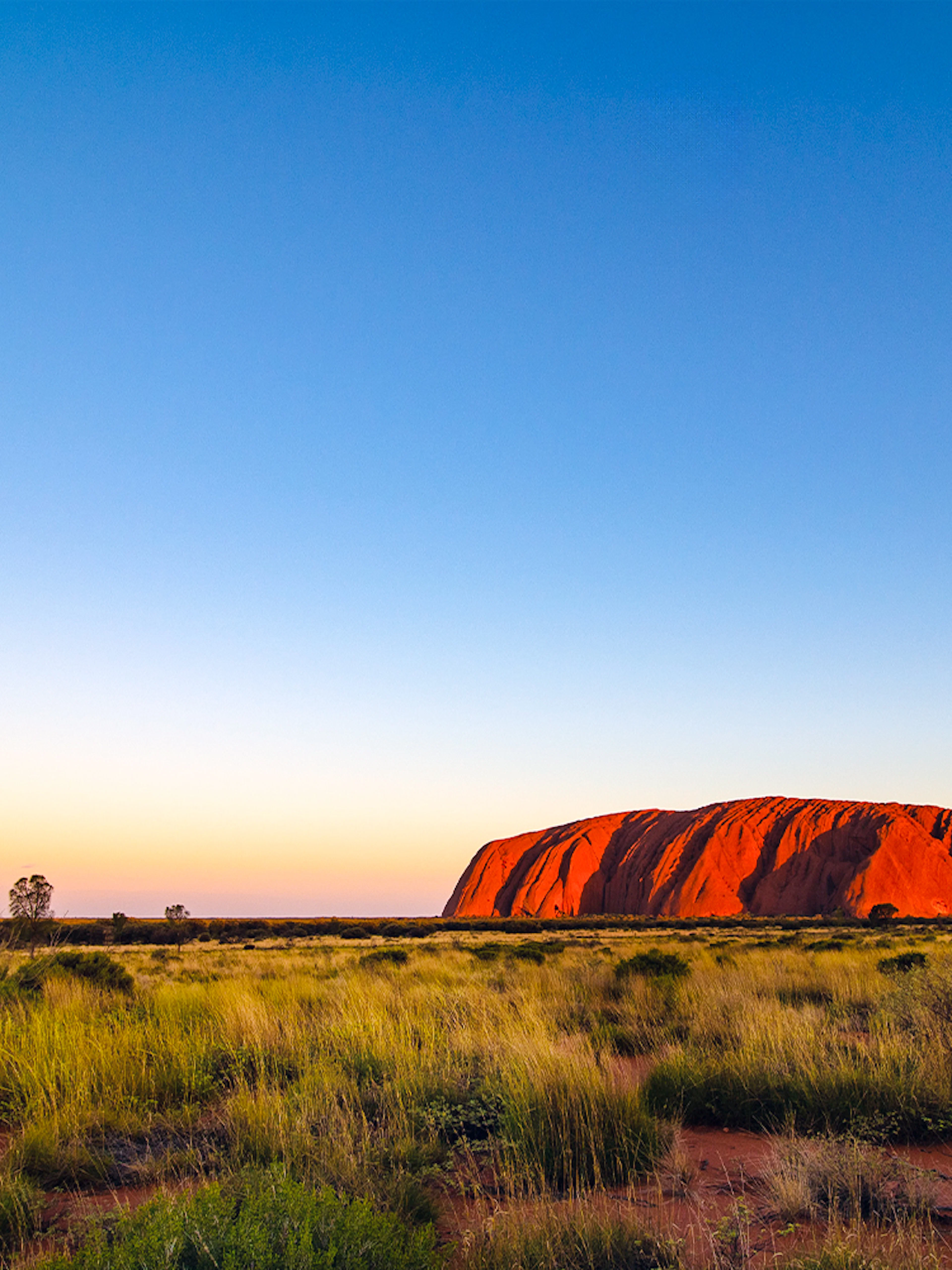 Uluru at sunset with surrounding grassland, Northern Territory, Australia.