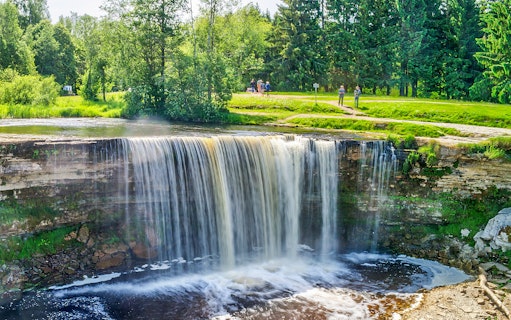 Jagala Waterfall cascading over rocks in a lush green forest, Northern Estonia.