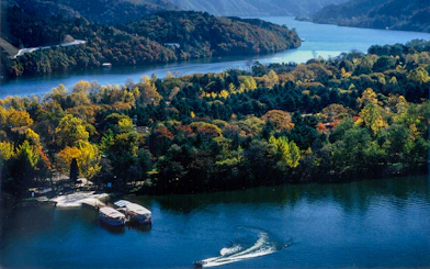 Scenic view of a waterbody and forested mountains in Nami Island, South Korea.