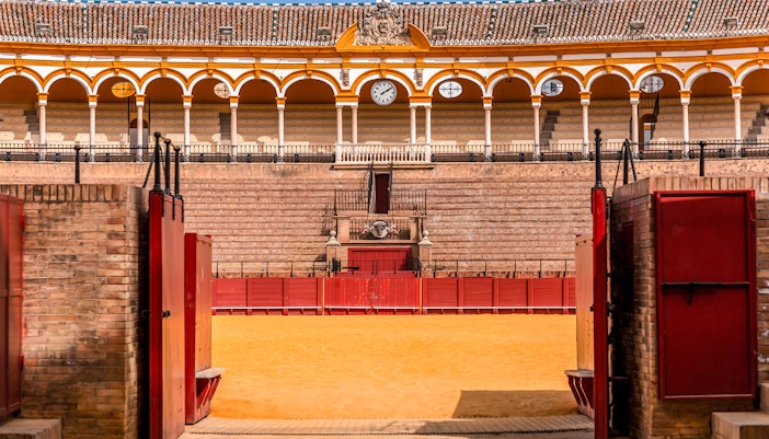 Goring Door at the Seville Bullring