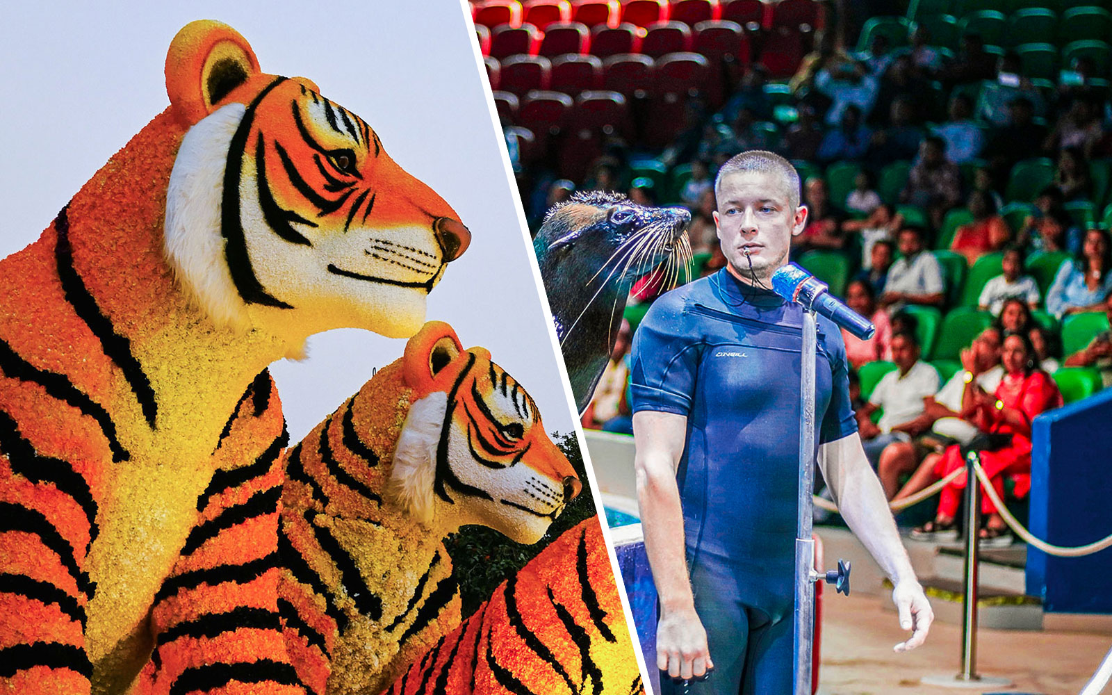 Floral tiger sculptures at Dubai Garden Glow with Dubai Frame in the background.