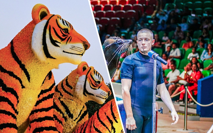 Floral tiger sculptures at Dubai Garden Glow with Dubai Frame in the background.