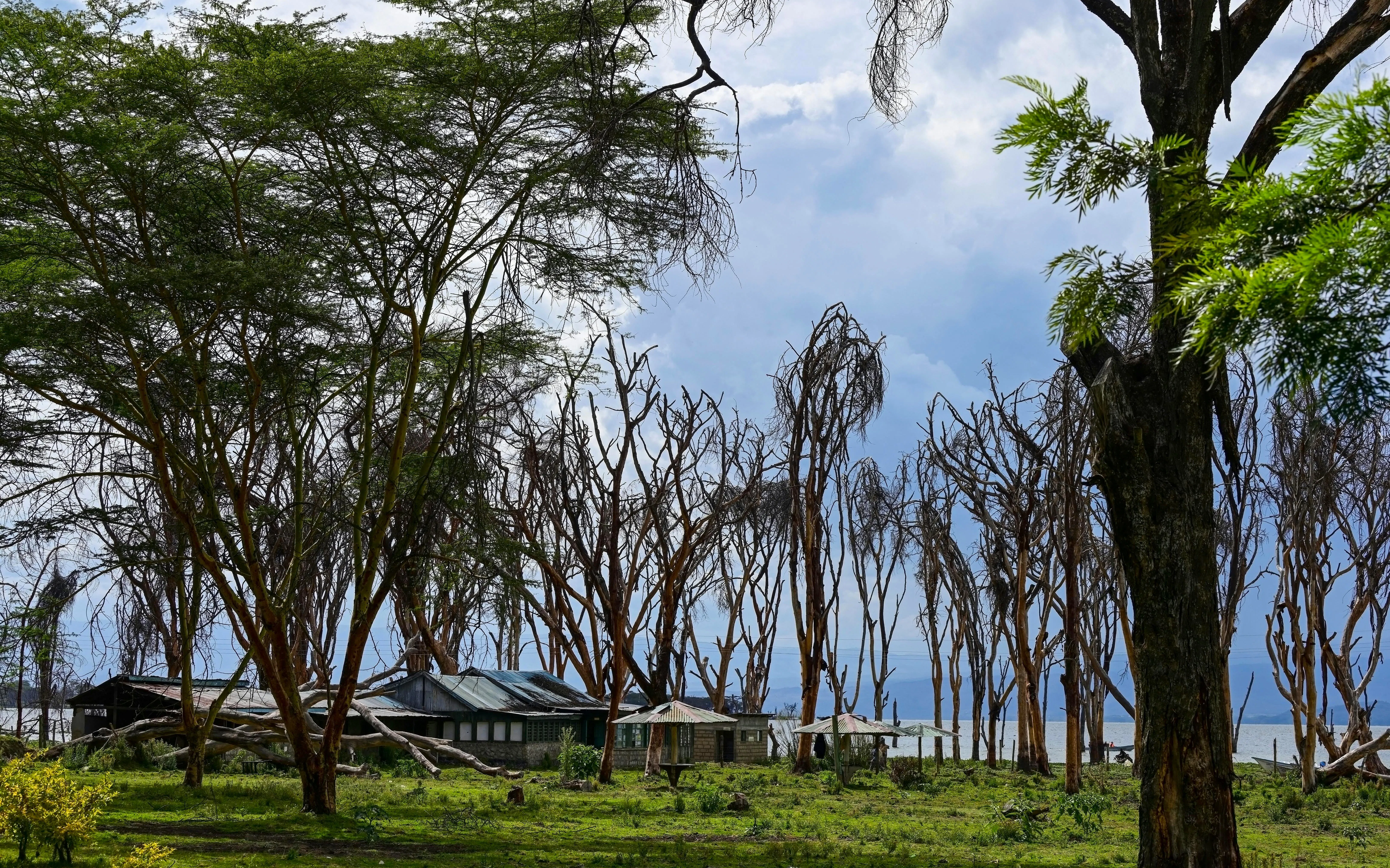  Alojamiento en el lago Naivasha