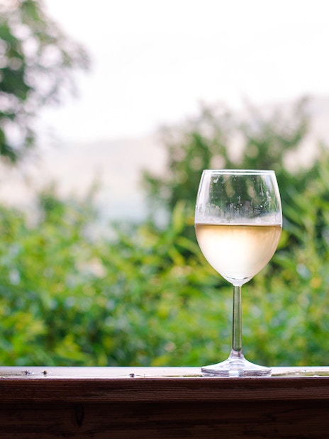 Glass of white wine on a wooden railing with a lush green background.