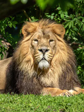Big Five Safari From Johannesburg