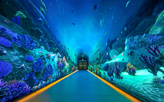 Underwater-themed tunnel at The View at the Palm, Dubai.