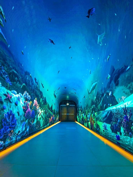 Underwater-themed tunnel at The View at the Palm, Dubai.